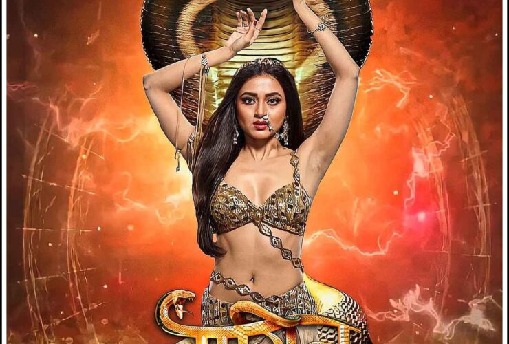 NAAGIN 6 Serial Cast, Actor, Actress, Names & Photos