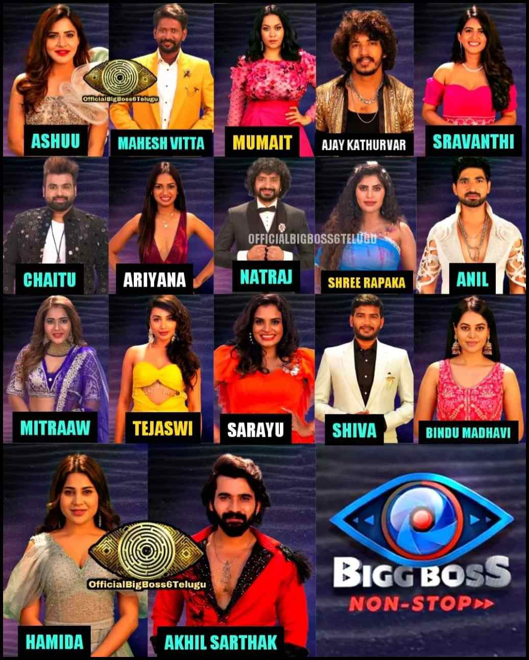 Bigg Boss Non Stop Contestants Names & Photos